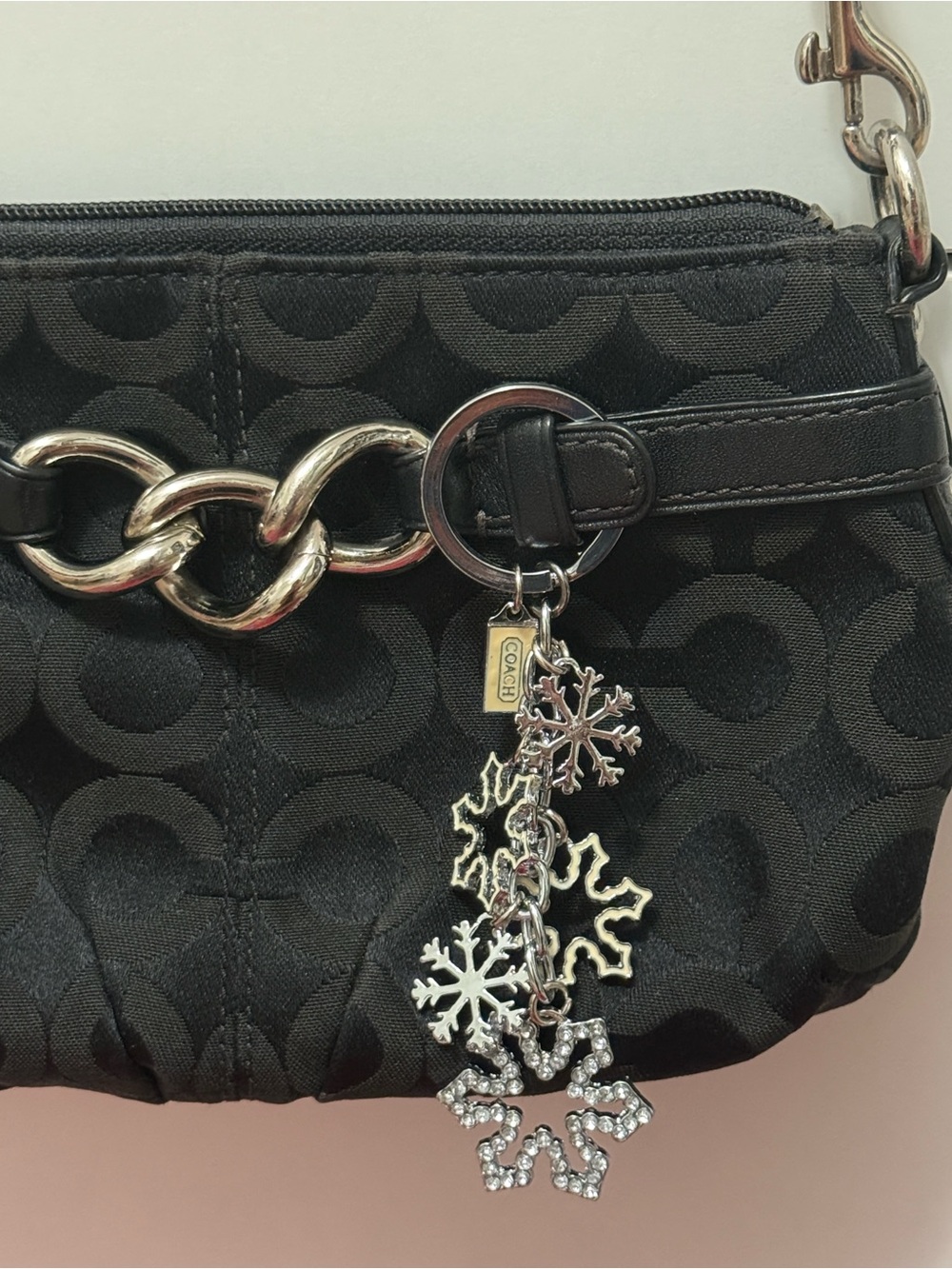 Coach Women's Silver and Grey Accessory